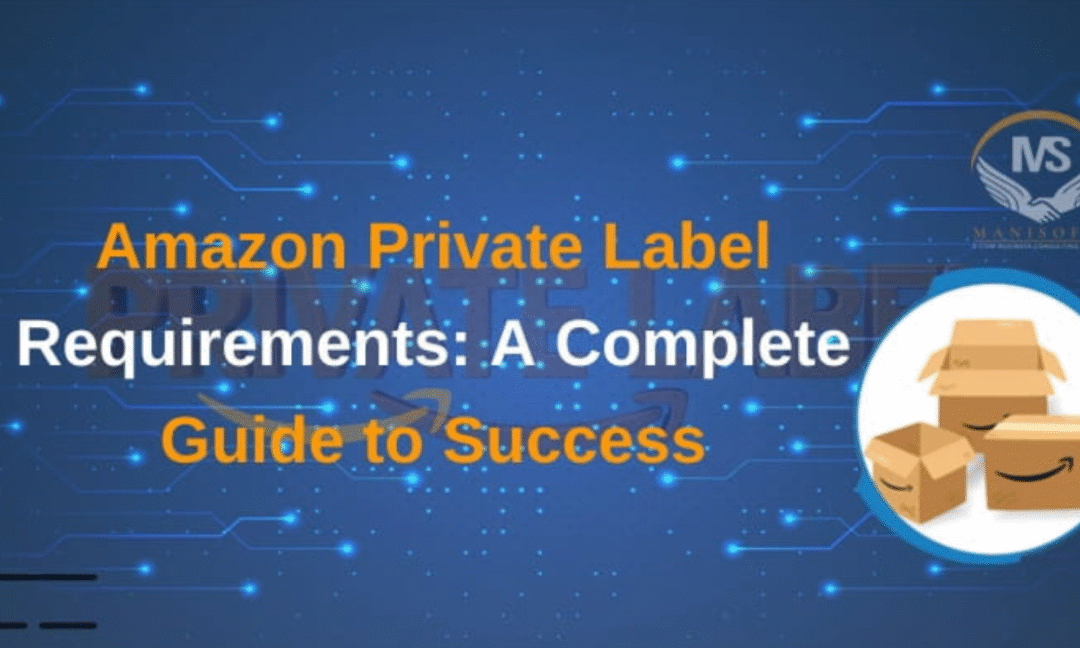 Amazon Private Label Selling Guide: Requirements, Brands, and FBA Success"
