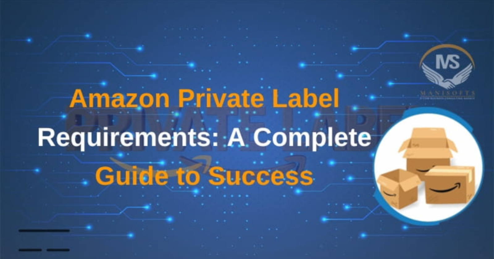 Amazon Private Label Selling Guide: Requirements, Brands, and FBA Success"