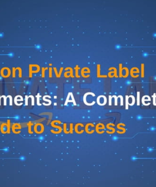 Amazon Private Label Selling Guide: Requirements, Brands, and FBA Success"