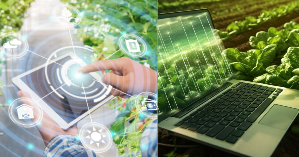 Data Science and Its Importance in Agriculture